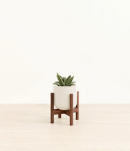 Load image into Gallery viewer, Cotton White stand:walnut
