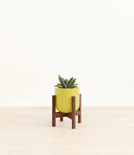 Load image into Gallery viewer, Key Lime Yellow stand:walnut
