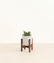 Load image into Gallery viewer, Hammered Ivory stand:bamboo
