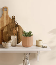 Load image into Gallery viewer, Striped Peach Pink
