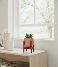 Load image into Gallery viewer, Striped Rose Pink stand:walnut
