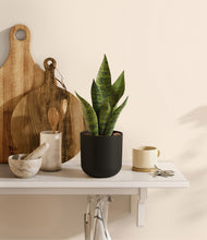 Load image into Gallery viewer, Stone Black
