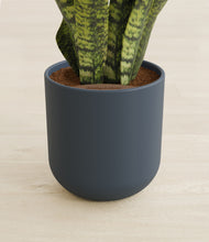 Load image into Gallery viewer, Iron Gray stand:all
