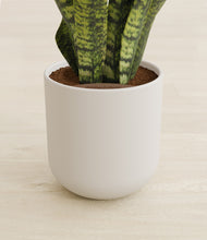 Load image into Gallery viewer, Natural Bamboo stand:all
