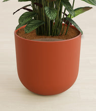 Load image into Gallery viewer, Earth Red stand:all
