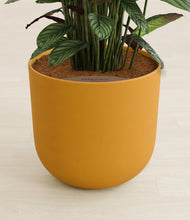 Load image into Gallery viewer, Sunset Orange stand:all
