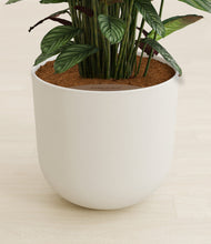 Load image into Gallery viewer, Natural Bamboo stand:all
