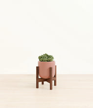 Load image into Gallery viewer, Striped Rose Pink stand:walnut
