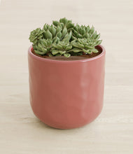 Load image into Gallery viewer, Hammered Rose Pink stand:all
