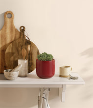 Load image into Gallery viewer, Striped Cherry Red
