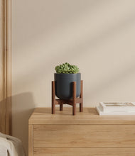 Load image into Gallery viewer, Iron Gray stand:walnut
