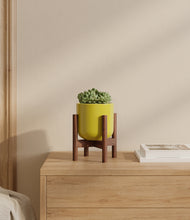 Load image into Gallery viewer, Key Lime Yellow stand:walnut
