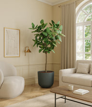 Load image into Gallery viewer, Iron Gray*****Profile
