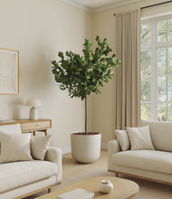 Load image into Gallery viewer, Natural Bamboo*****Profile
