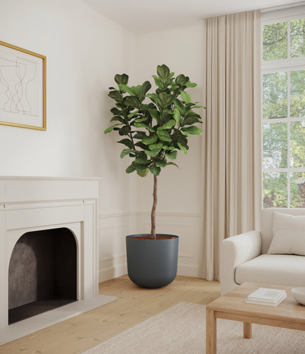 Iron Gray*****Profile