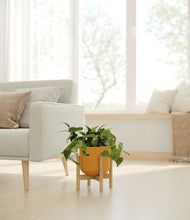 Load image into Gallery viewer, Sunset Orange stand:bamboo

