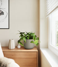 Load image into Gallery viewer, Sage Green
