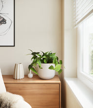 Load image into Gallery viewer, Natural Bamboo

