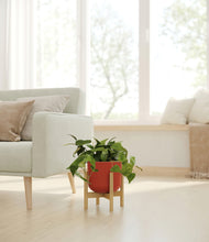 Load image into Gallery viewer, Earth Red stand:bamboo
