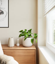 Load image into Gallery viewer, Natural Bamboo
