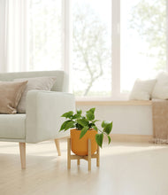 Load image into Gallery viewer, Sunset Orange stand:bamboo
