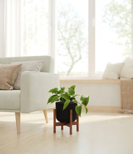 Load image into Gallery viewer, Stone Black stand:walnut
