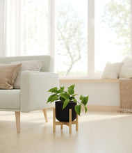 Load image into Gallery viewer, Stone Black stand:bamboo
