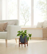 Load image into Gallery viewer, Iron Gray stand:walnut
