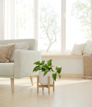 Load image into Gallery viewer, Natural Bamboo stand:bamboo
