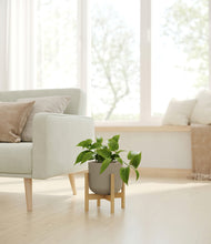 Load image into Gallery viewer, Sage Green stand:bamboo
