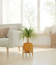 Load image into Gallery viewer, Sunset Orange stand:bamboo
