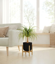 Load image into Gallery viewer, Stone Black stand:bamboo

