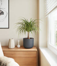 Load image into Gallery viewer, Iron Gray
