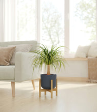 Load image into Gallery viewer, Iron Gray stand:bamboo
