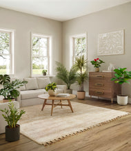 Load image into Gallery viewer, -
