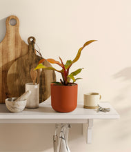Load image into Gallery viewer, Earth Red
