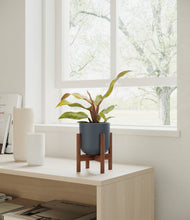 Load image into Gallery viewer, Iron Gray stand:walnut
