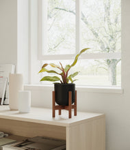 Load image into Gallery viewer, Stone Black stand:walnut
