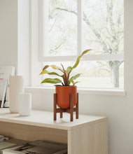 Load image into Gallery viewer, Earth Red stand:walnut
