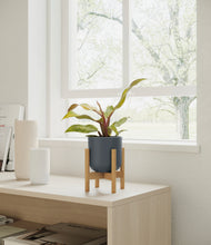 Load image into Gallery viewer, Iron Gray stand:bamboo
