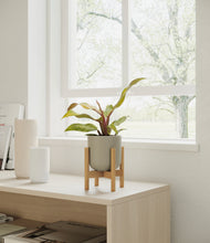 Load image into Gallery viewer, Sage Green stand:bamboo
