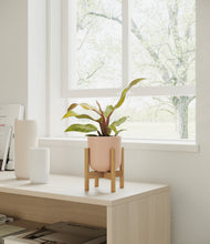 Load image into Gallery viewer, Sandy Pink stand:bamboo
