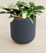 Load image into Gallery viewer, Iron Gray stand:all
