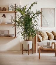 Load image into Gallery viewer, Natural Bamboo stand:walnut
