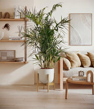 Load image into Gallery viewer, Natural Bamboo stand:bamboo
