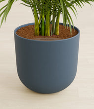 Load image into Gallery viewer, Iron Gray stand:all
