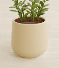 Load image into Gallery viewer, Almond Green stand:all

