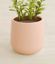 Load image into Gallery viewer, Gentle Pink stand:all
