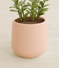 Load image into Gallery viewer, Gentle Pink stand:all
