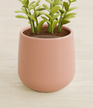 Load image into Gallery viewer, Calm Rose stand:all
